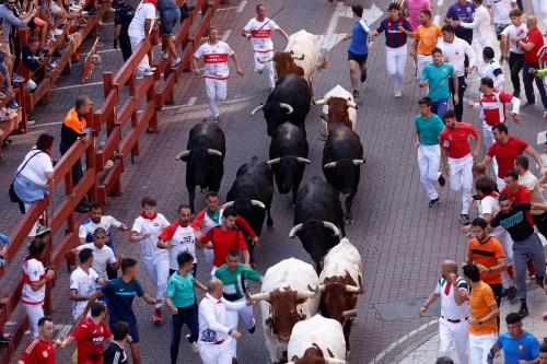 Imagen Encierro 4 de septiembre de 2022