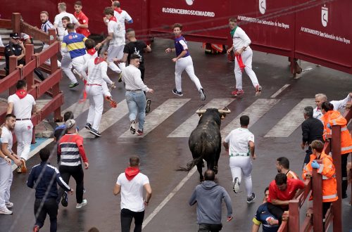 Imagen Encierro 2 de septiembre de 2023