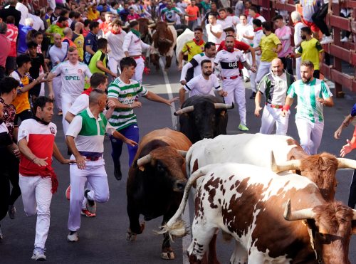 Imagen Encierro 1 de septiembre de 2023