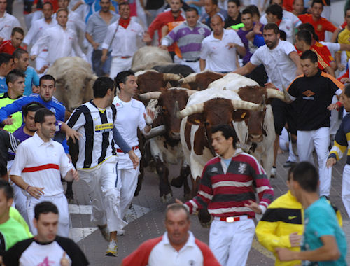 Imagen Encierro del 28 de agosto. 2010