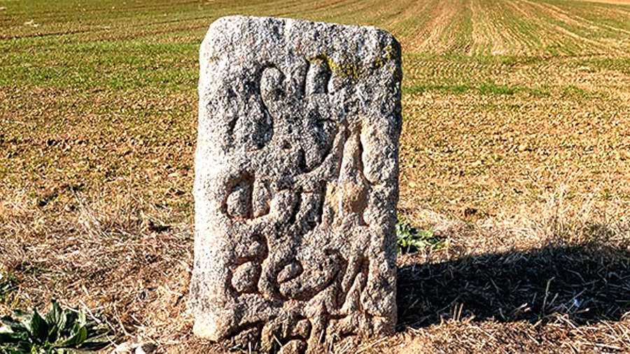 Imagen Labrado en piedra: Un acercamiento a últimos vestigios del origen de San...
