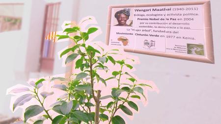 Imagen El CEIP Valvanera planta un caqui en honor a Wangari Maathai