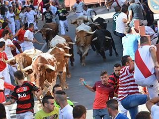 Imagen Encierros del 26 de agosto de 2016