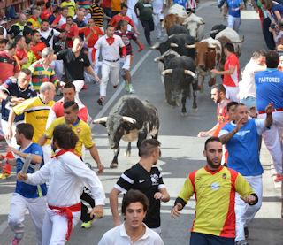 Imagen La manada se ha mostrado muy compacta