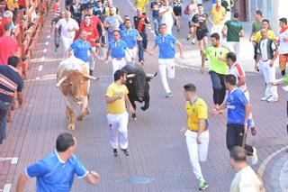 Imagen Los pastores orientan la manada hacia la plaza de toros.