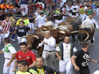 Imagen La manada, muy gregaria, apenas dejó hueco a los corredores