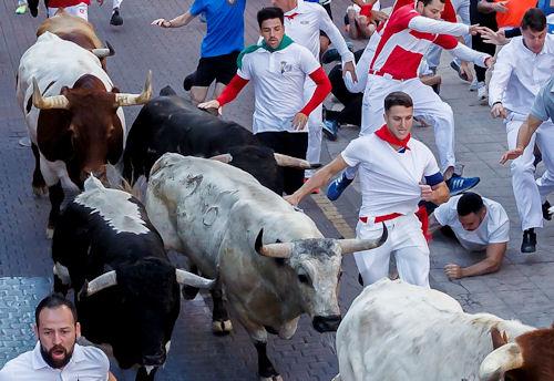 Imagen Los toros de Estoque y Quintas en un encierro emocionante