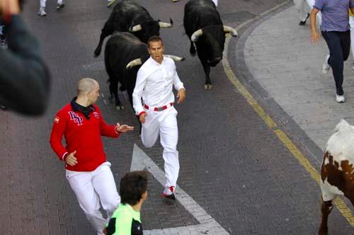 Imagen Selección gráfica del encierro del 28 de agosto de 2012