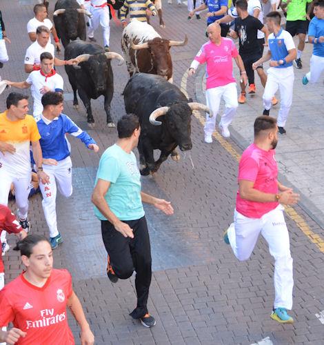 Imagen Un encierro templado que ha propiciado buenas carreras