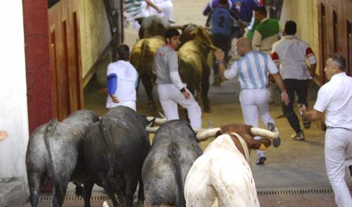 Imagen Encierro del 27 de agosto de 2011