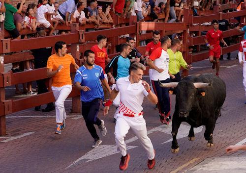 Imagen La manada se ha disgregado y ha permitido grandes carreras