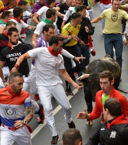 Imagen Séptimo encierro marcado por la lluvia con toros de Polo Saiz