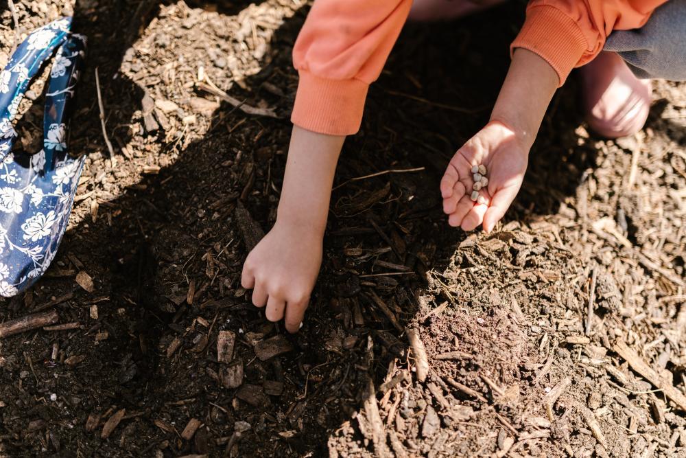 Imagen Manual básico para hacer vermicompost