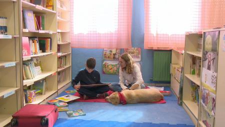Imagen Perros en las aulas de Sanse para mejorar la lectura y otras habilidades