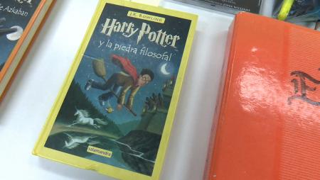 Imagen Cuando Harry Potter tomó la Biblioteca Claudio Rodríguez de Sanse