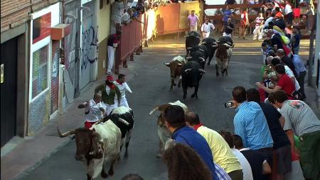 Imagen Segundo encierro de las Fiestas de San Sebastián de los Reyes 2014
