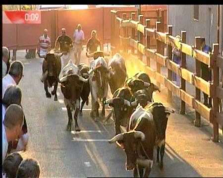 Imagen Abierta la participación para el X Concurso de microrrelato del encierro de Sanse