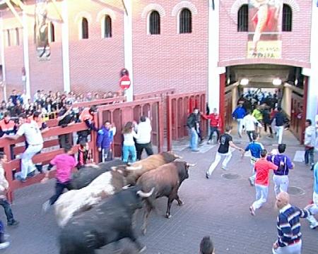 Imagen La novillada de Fuente Ymbro cierra en alto los encierros de Sanse 2012