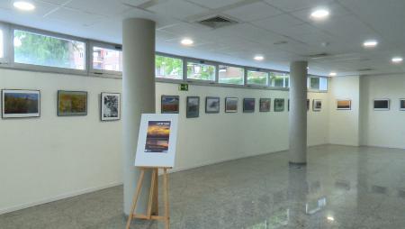 Imagen Luz de Tarde, la exposición fotográfica que brilla en la Biblioteca...