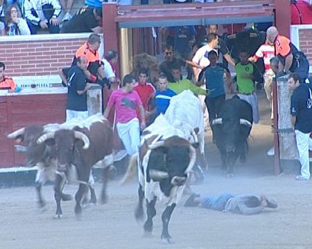 Imagen Segundo encierro de Sanse 2012: ¿En la manga o en la plaza?