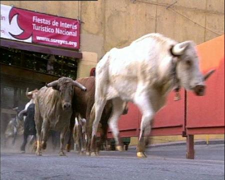 Imagen Los encierros de Sanse en directo en CNtv Digital