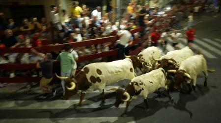 Imagen La cabestrada vuelve a tener tres sueltas para una mayor seguridad