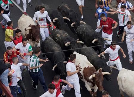 Imagen Los astados de Zalduendo dejan el encierro más rápido con grandiosas...