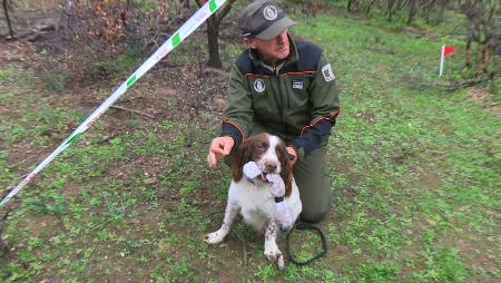 Imagen Los Agentes Forestales explican cómo investigan los incendios en la naturaleza