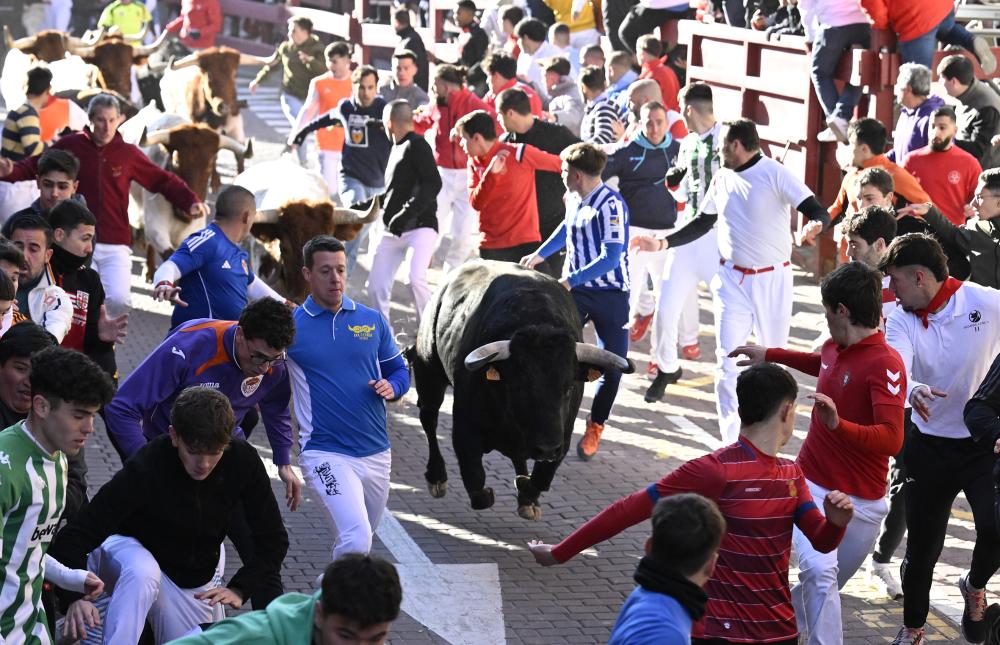 Imagen Un herido por asta de toro en un encierro vibrante y espectacular