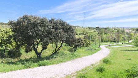 Imagen “Creciendo juntos”, la campaña para plantar un árbol por cada niño nacido en 2024