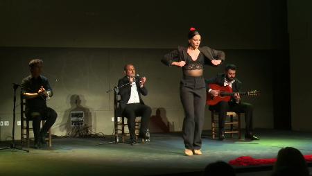 Imagen Emoción y mucho arte en Sanse con el “Recital flamenco” de la bailaora...